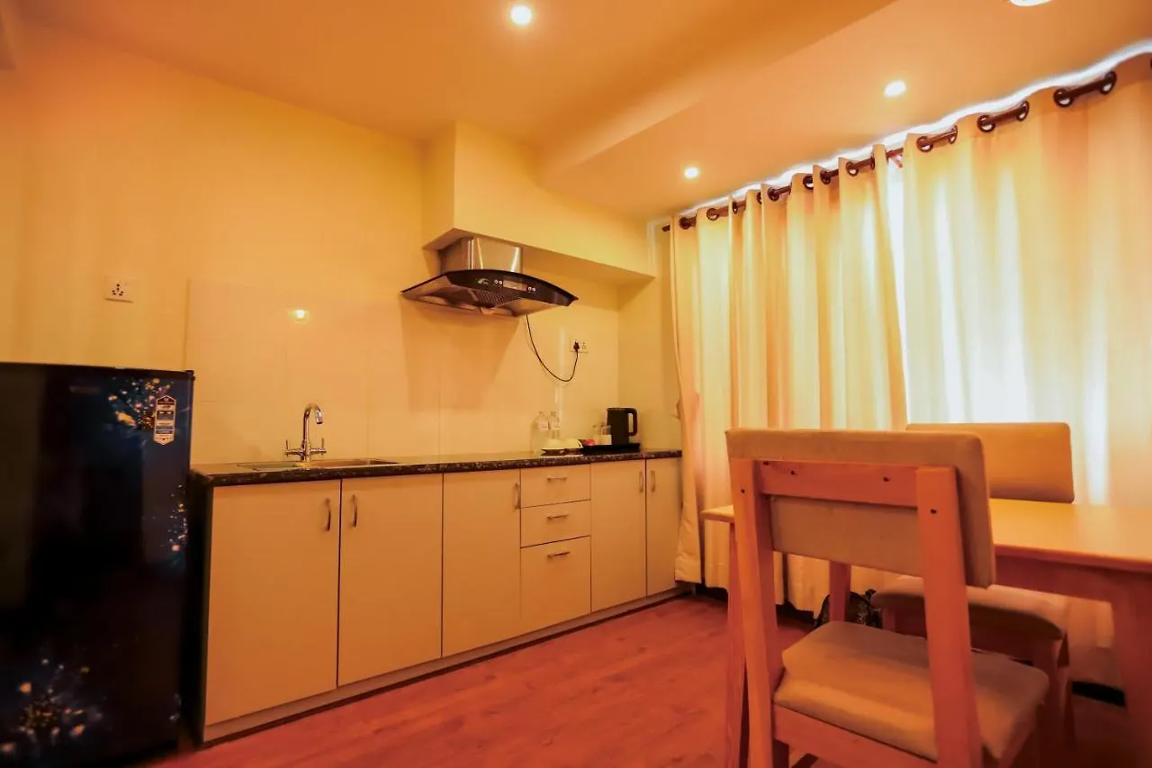 Kathmandu Business Hotel 尼泊尔